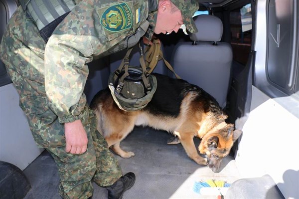 Провести боеприпасы помешала собака: как житель Львовской области на блокпосту пытался обмануть полицейских Славянска