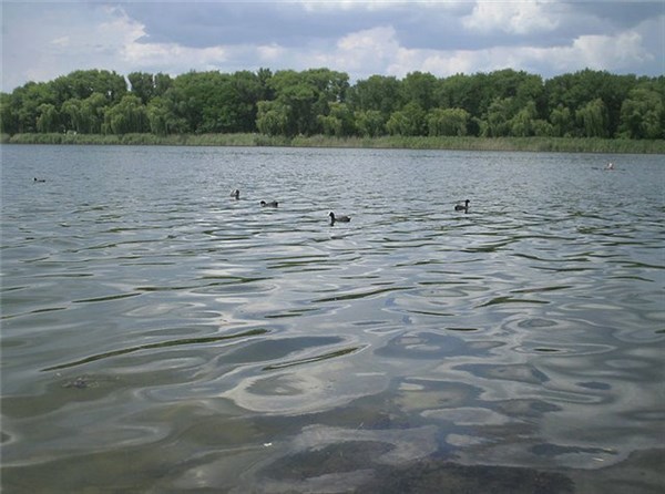 Городские власти Славянска заявляют, что доступ к озерам должен быть бесплатным, а санстанция жалуется на отсутствие согласованных  паспортов  на пляжи у арендаторов 