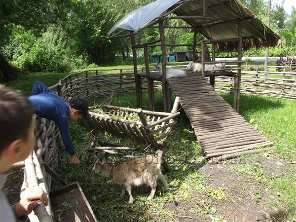 В центральном парке Славянска появился «зоопарк»