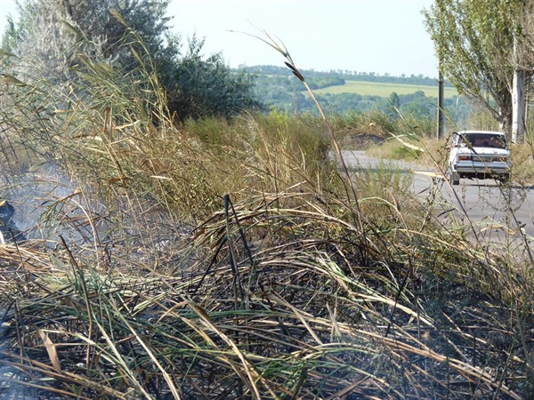 В связи с жарой в Славянске за две недели произошло более 20 пожаров 