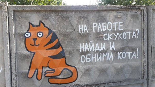 «На работе скукота? Найди и обними кота»: на «Славкурорте» появились креативные граффити с котиками