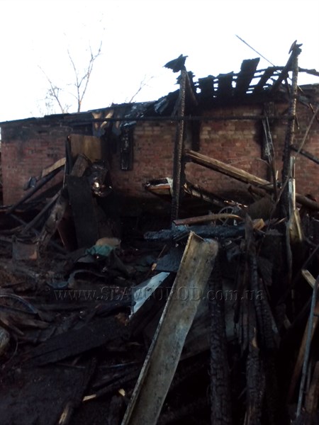 Горел сарай, спасали хату: у жителей Славянска в результате пожара сгорел сарай, летний душ и курятник. Дом удалось спасти