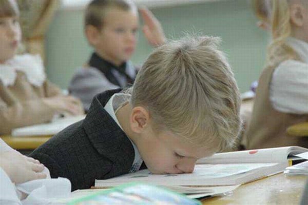 В Славянске возобновился учебный процесс  в школах и начали  работать детские сады