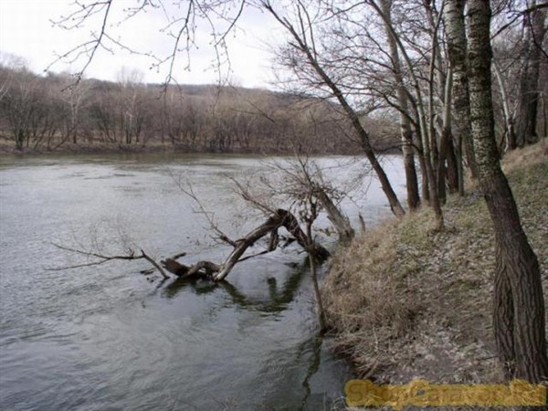 Вблизи Славянска в реке Северский Донец обнаружен утопленник