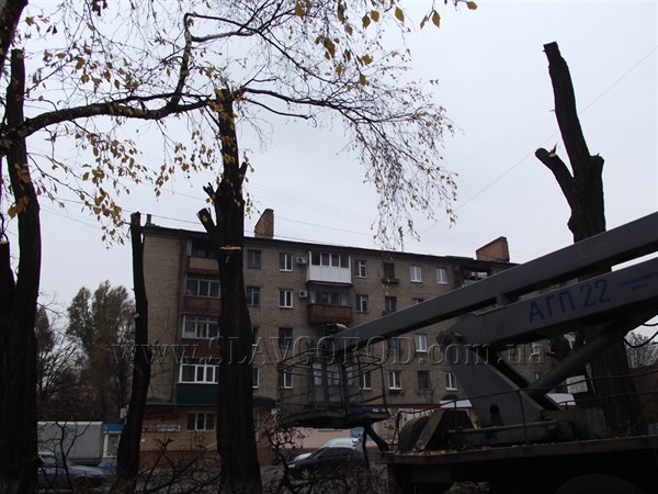 В Славянске сносят акации — освобождают место под новые посадки