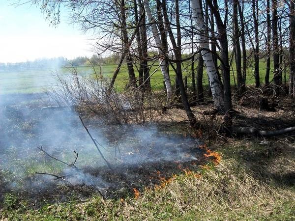 С начала года в Славянске и районе произошло 68 случаев возгорания сухой травы 