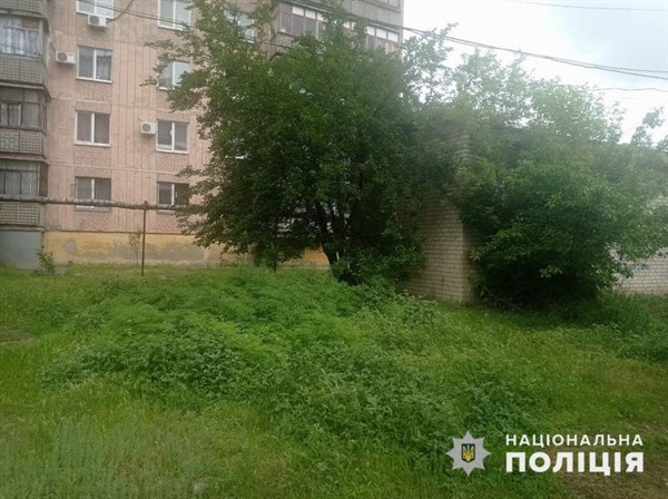 В Славянске возле многоэтажек уничтожена «наркоплантация»