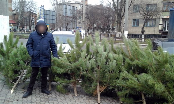 В Славянске начались рейды по выявлению незаконной торговли елками