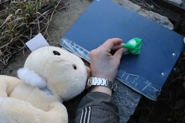 Уранили мишку на пол, оторвали мишке лапу: детская игрушка, привезенная в Славянск на автобусе, оказалась контейнером для наркотиков