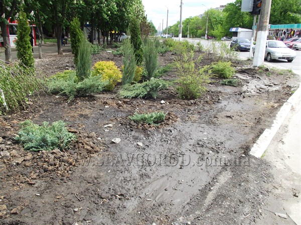 В Славянске новый газон на улице Генерала Батюка размывает водой (фотофакт)