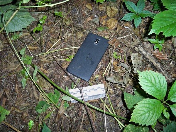 В Святогорском лагере у подростка украли телефон, пришлось вызывать полицию