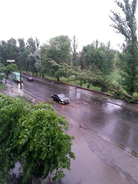 Во время урагана в Славянске упало 25 деревьев