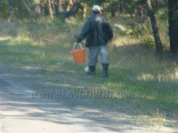 В Славянске семья отравилась грибами, 1 человек умер 