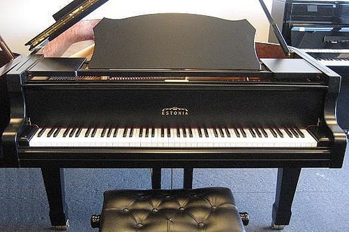 Минкульт добавит  10 000 тысяч евро на покупку рояля для школы искусств  Славянска