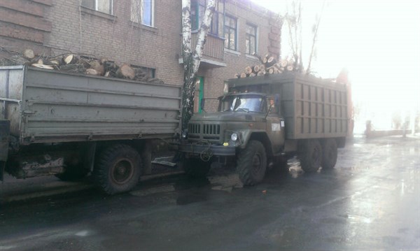 Славянские полицейские задержали 2 грузовика с дубом