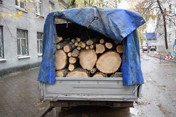 В Славянске задержали автомобиль, полностью забитый свежеспиленными деревьями 