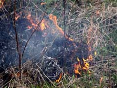 За прошедшую неделю сотрудники МЧС г. Славянска 17 раз выезжали на тушение пожаров