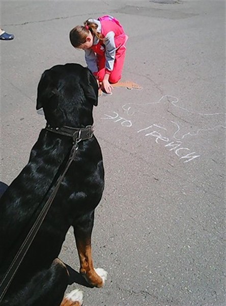 В Славянске харьковскую компанию по отлову собак назвали "кровавой усыпальницей" и устроили акцию в поддержку четвероногих