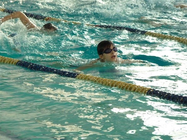 20 лучших пловцов Славянска на соревнованиях отвоевали право бесплатно посещать городской бассейн 