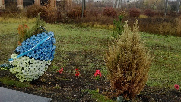 Неизвестные уничтожили две туи возле памятного знака воинам АТО на Семеновке. Фотофакт 