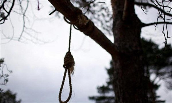 Милиционеры Славянска выясняют причину самоубийства 11 – летней школьницы. Девочка повесилась на дереве