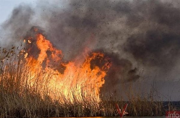 Инспектор отдела предупреждения чрезвычайных ситуаций Андрей Быбка: «Пока мы тушим камыши, может сгореть чей-то дом»