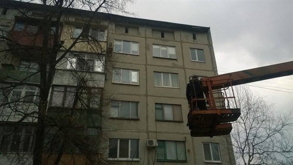 В Славянске неделю не могли спасти кошку, которая забралась на дерево на уровне 4 этажа