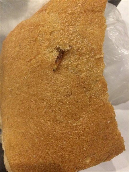 Жительница Славянска купила в местном магазине хлеб с червем