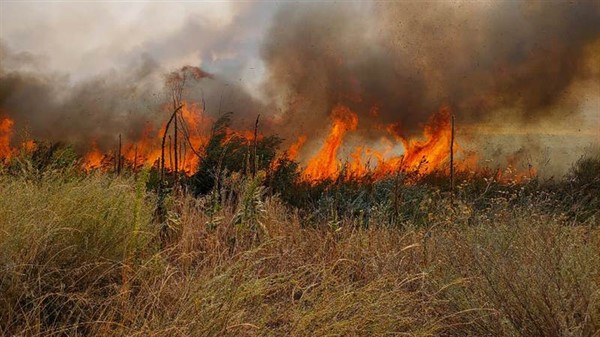 Жителей Славянска предостерегли от сжигания сухой травы