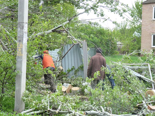 В Славянске и районе ночной ураган повалил десятки деревьев и обесточил полсотни трансформаторных подстанций
