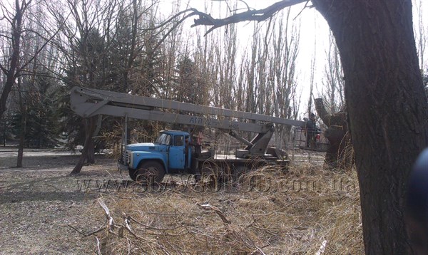 В Славянске коммунальники разработали план сноса аварийных деревьев на год. (График выполнения работ)