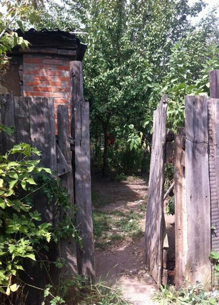В Славянске 70-летний пенсионер выращивал на даче коноплю