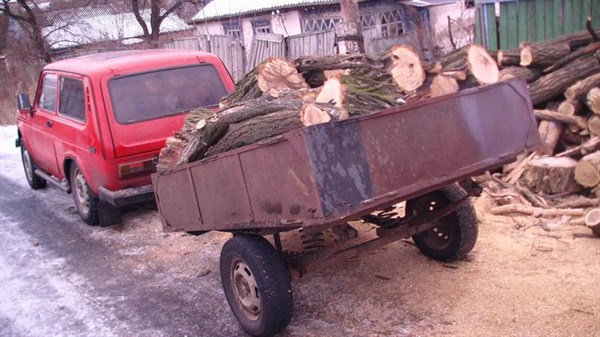 Откуда дровишки: четверо жителей славянского района могут сесть в тюрьму за вырубку деревьев в посадке
