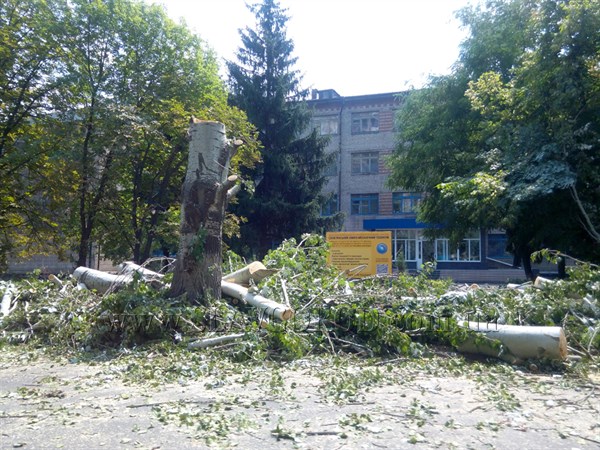 В Славянске более трех с половиной  тысяч деревьев подлежит сносу, коммунальники не успевают и предлагают предпринимателям подключиться  к делу, не бесплатно