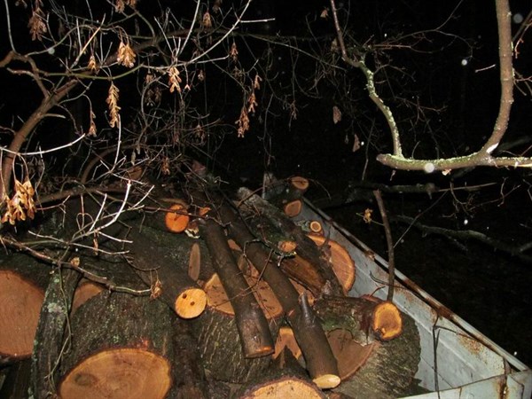 В Славянском районе грузовик с ворованным лесом задержала грязь