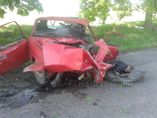Трагическая смерть: в Славянском районе водитель «семерки» погиб от столкновения с деревом