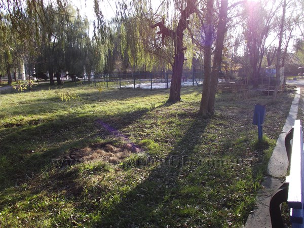 В Славянске из центрального парка убрали «Диво-птахів»