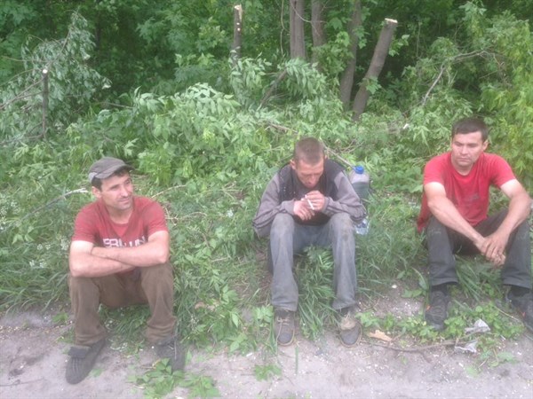 Активісти  затримали у Слов'янському районі "чорних лісорубів" (ФОТО, ВІДЕО)