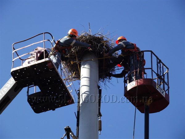 В Славянске аист вернулся в искусственное гнездо, установленное энергетиками на опоре линии электропередачи