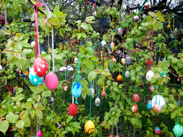 Жители Славянска поставили рекорд Украины украсив пасхальное дерево почти тремя тысячами яиц