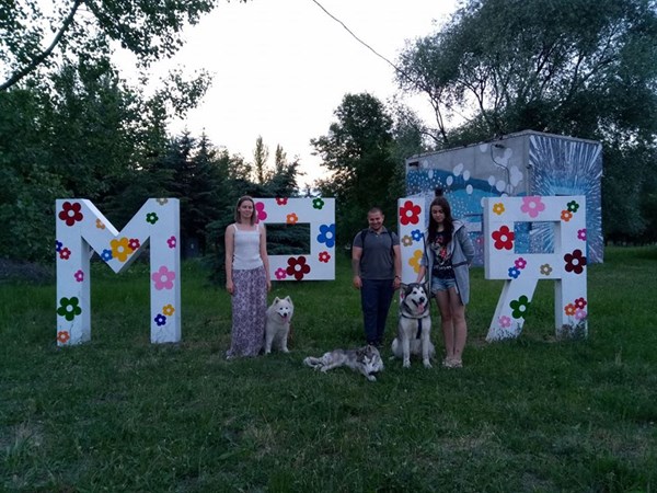 Жителей Славянска, у которых есть собаки, просят присоединяться к к постройке площадки для выгула.