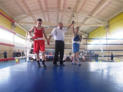 Спортсмены из Славянска стали чемпионами на областных соревнованиях по боксу