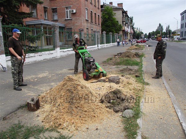 В Славянске на улице Свободы «перемалывают» пни, оставшиеся от тополей