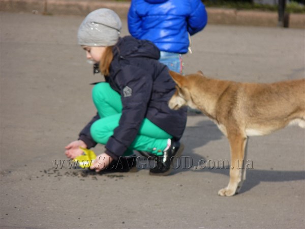 В Славянске бродячие собаки нападают на школьников