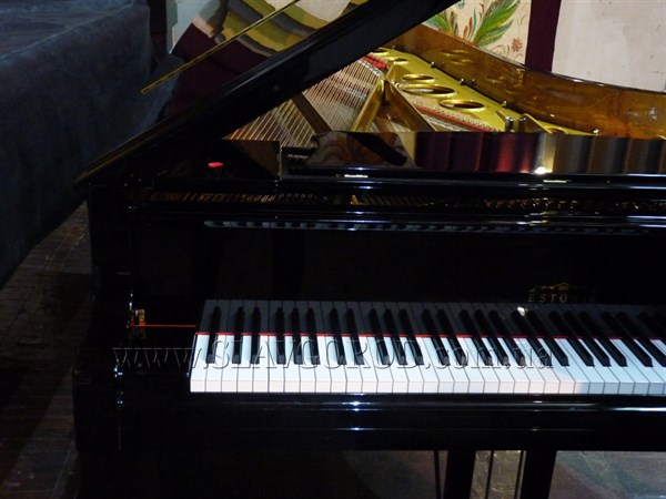 В Славянске состоялась долгожданная презентация концертного рояля, купленного на средства простых жителей Эстонии