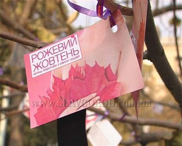 «Розовый октябрь» в Славянске: на центральной площади прошла акция