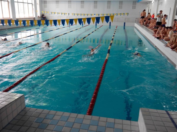 В Славянске прошли городские соревнования по плаванию.  Шесть спортсменов награждены кубками «Лучший пловец»